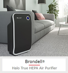 A Sleek, Affordable Air Filter That Removes Dust, Pollen, and Smoke