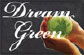 Direct from the Designers - Dream Green Newsletter