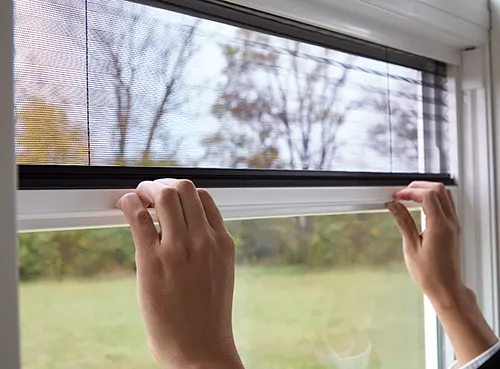 Hidden Window Screens That Don't Block the View