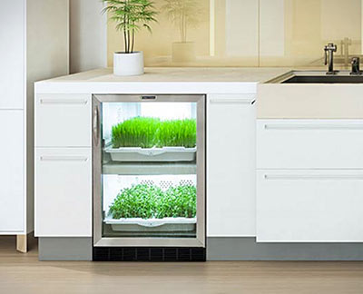 A Convenient In-Kitchen Greenhouse