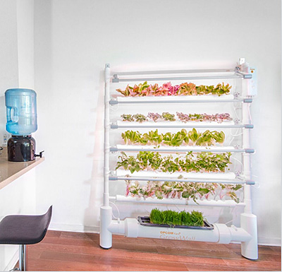 10. An Eco-Friendly, In-Home Produce Stand