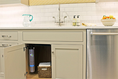 Pentair Everpure EF-3000