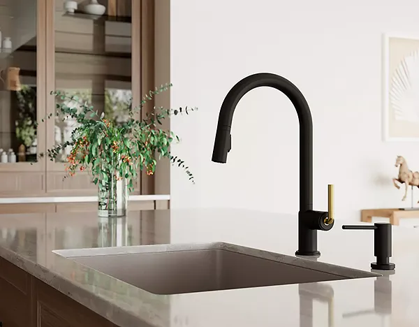 Pfister Tenet Kitchen Collection