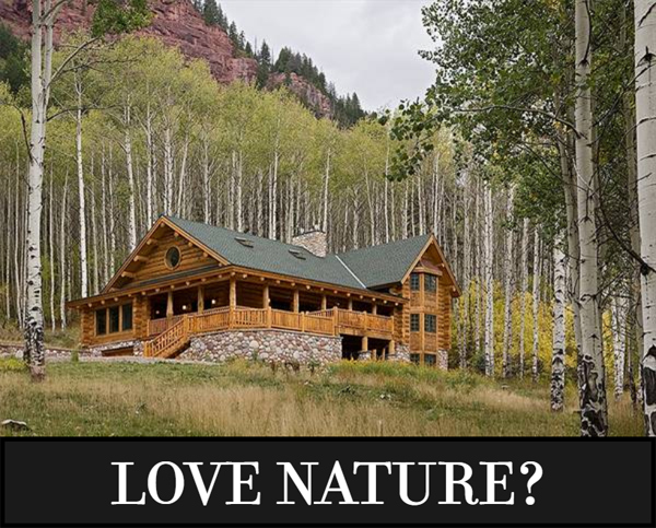 A Luxury Log Home That's Super Spacious Inside and Has a Great Deck Outside!
