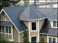 Sustainable Roofing Options