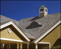 How Green Are Your Roofing Options?