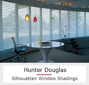 Unique Shades That Filter Light, Maintain Privacy, and Still Let You See Outside