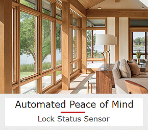 A Totally Hidden Automation Solution for Windows and It Can Be Wired or Wireless