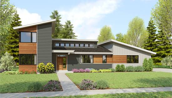 Contemporary Beauty with Large Windows