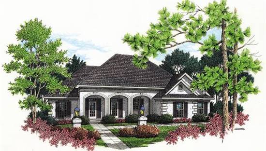 Front Rendering