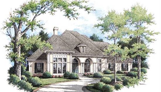 Front Rendering