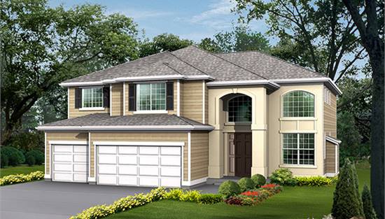 Front Rendering