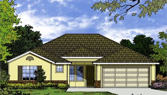 Front Rendering
