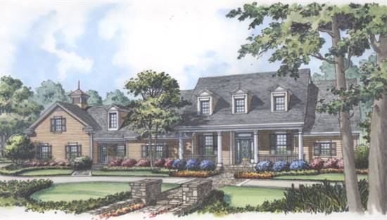 Front Rendering (Color)