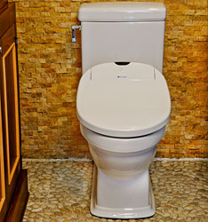 4 - An Easy Toilet Makeover