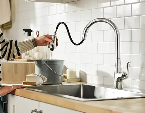 A Thoughtful Faucet for the Laundry/Mudroom