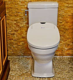 18 - An Easy Toilet Makeover